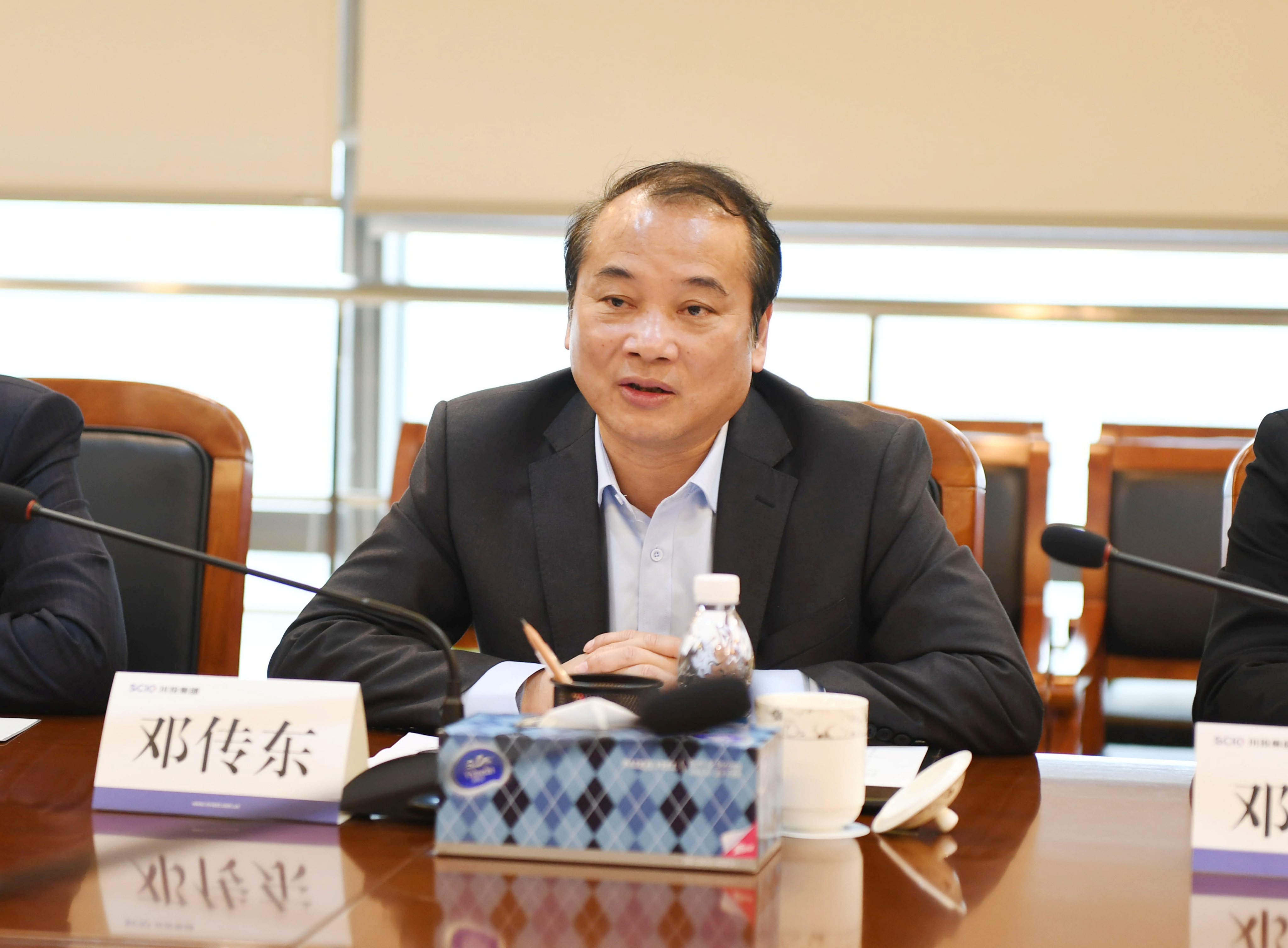川投集团与丝丽雅集团举行座谈